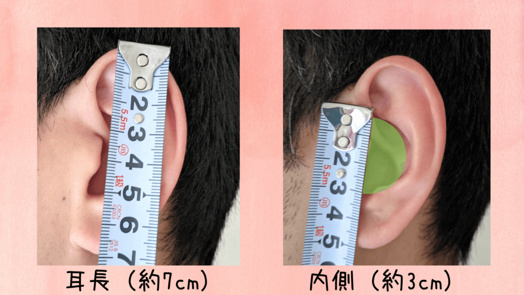 夫　耳の大きさ　計測